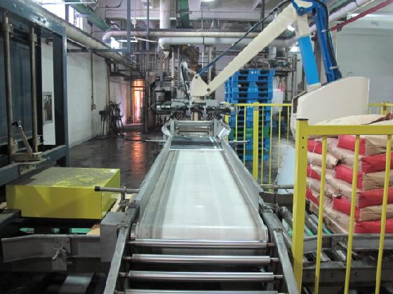  全自動(dòng)包裝碼垛生產(chǎn)線(xiàn)